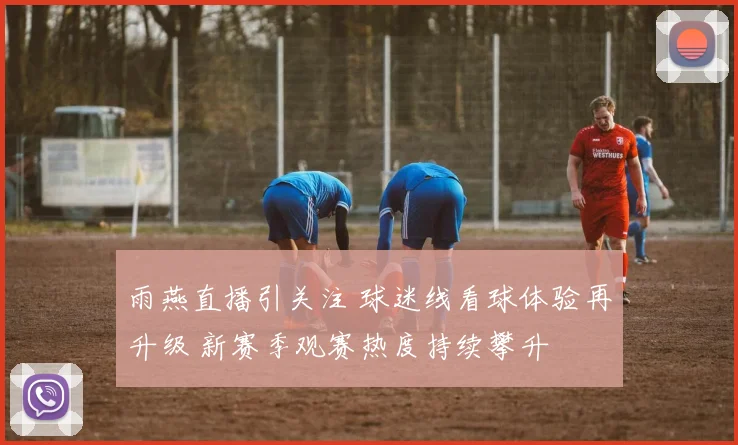 雨燕直播引关注 球迷线看球体验再升级 新赛季观赛热度持续攀升