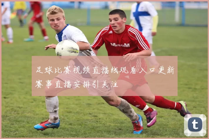 足球比赛视频直播线观看入口更新赛事直播安排引关注