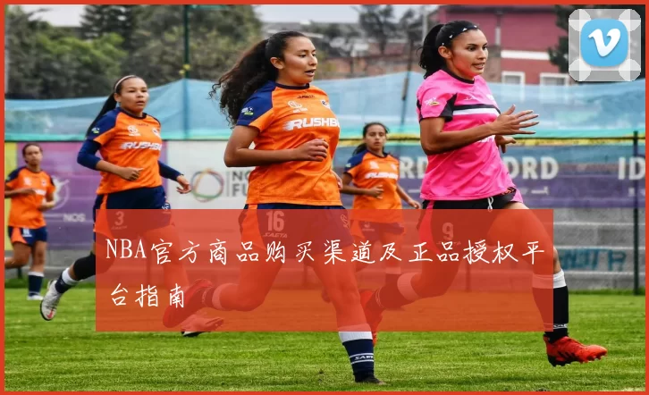 NBA官方商品购买渠道及正品授权平台指南