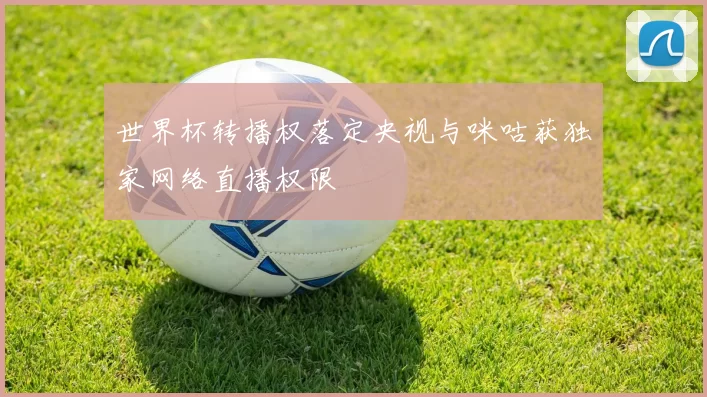 世界杯转播权落定央视与咪咕获独家网络直播权限