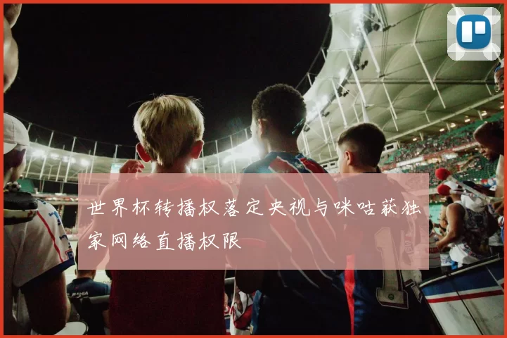 世界杯转播权落定央视与咪咕获独家网络直播权限