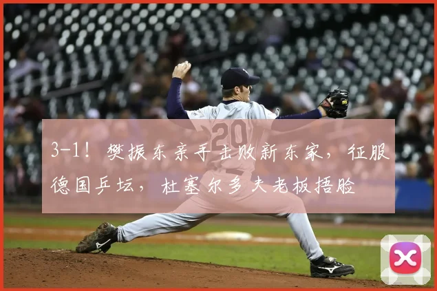 3-1！樊振东亲手击败新东家，征服德国乒坛，杜塞尔多夫老板捂脸