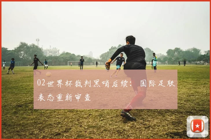02世界杯裁判黑哨后续：国际足联表态重新审查